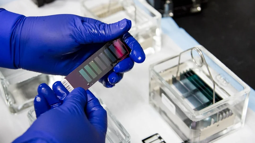 Smartphone Ecosystem Technology Lab