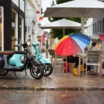 Electric Scooter Lithium Battery