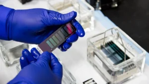 Smartphone Ecosystem Technology Lab